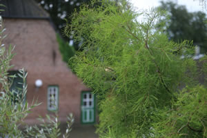 Betrieb Grevenkoper Pute