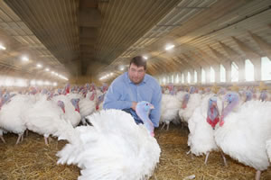 Philosophie Grevenkoper Pute